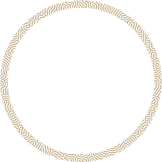 img-floater-15_pallete0 https://mastronardi-wordpress.devstudio.ar/wp-content/uploads/2024/03/img-floater-15_pallete0.webp